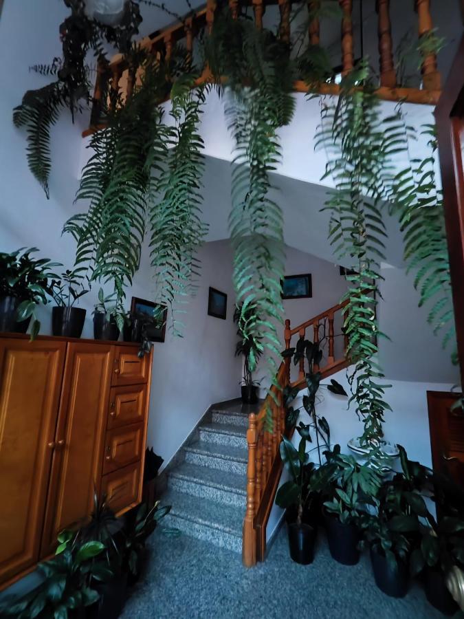 Ferienwohnung Bernal I, II Y III Los Sauces Exterior foto
